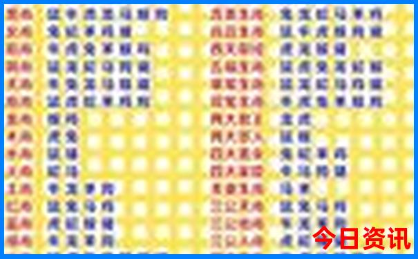朱家尖免费景点推荐